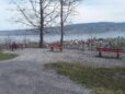 Horgen2