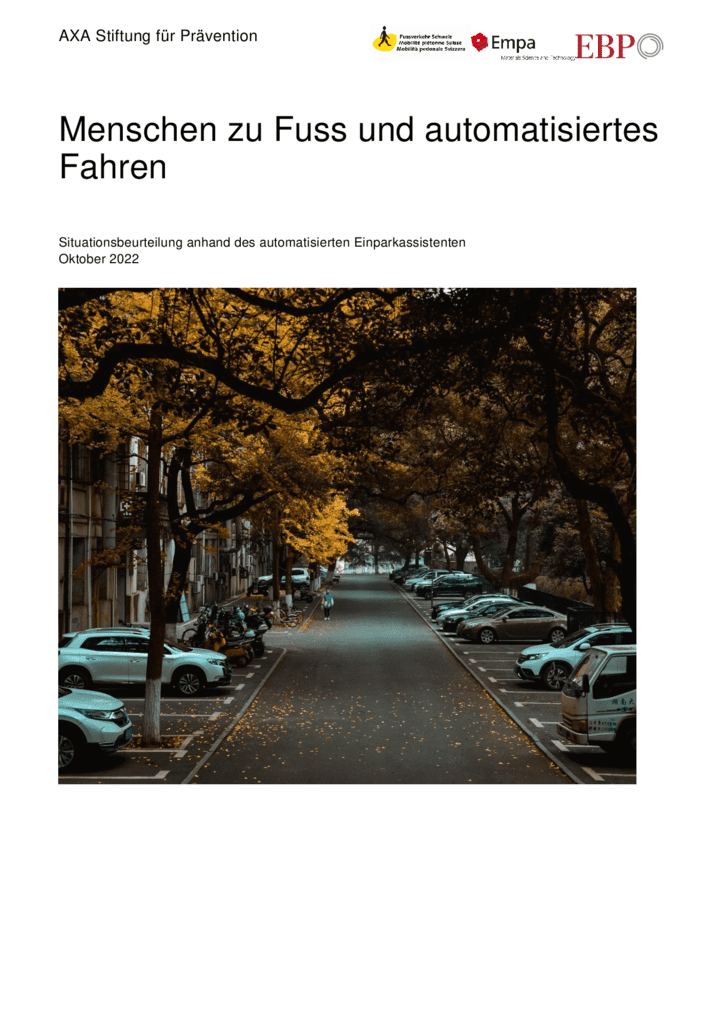 thumbnail of MzFaFn_Schlussbericht