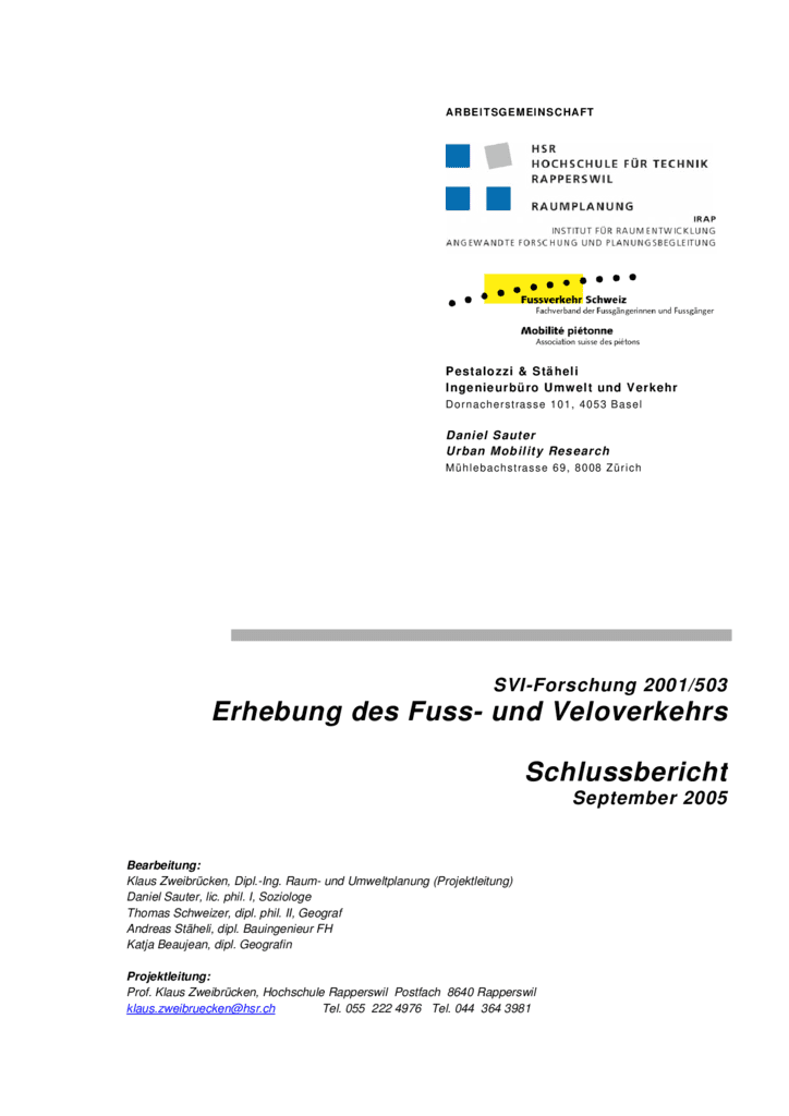 thumbnail of bericht_0509_svi_erhebungen_fussvelo