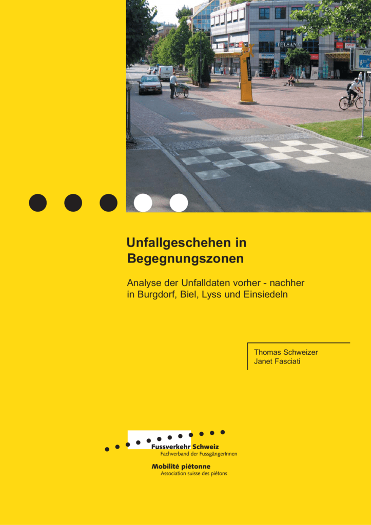 thumbnail of studie_0804_unfallBGZ