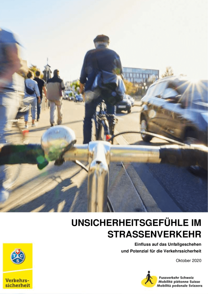 thumbnail of unsicherheitsgefuehl-bericht-2020